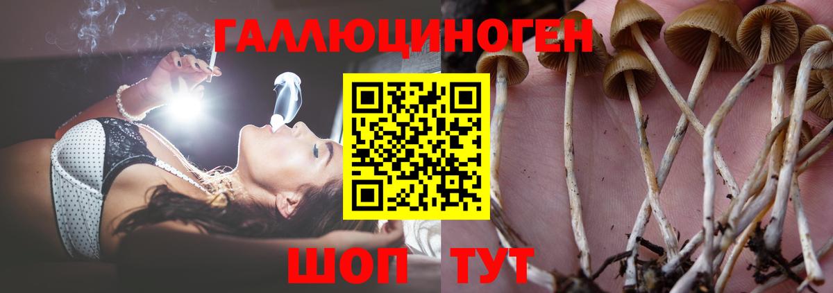 Псилоцибиновые грибы мухоморы Камышлов